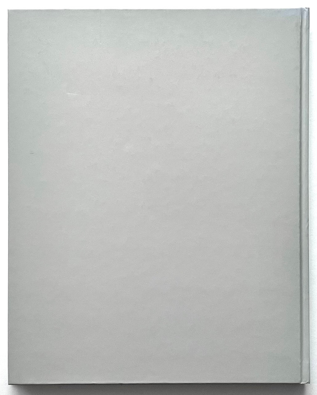 Plain light grey back cover of the book “Anna Dickinson”