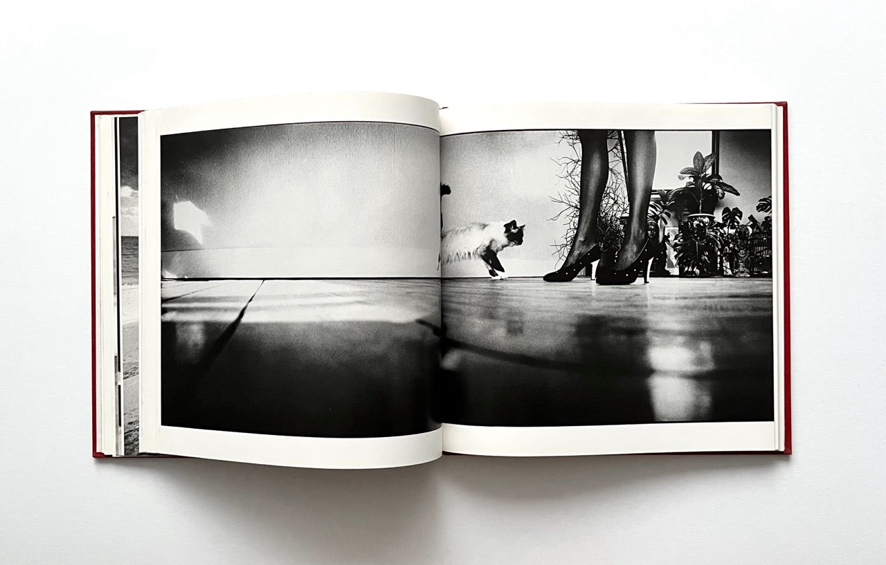 Open David Bailey's Trouble and Strife' book with a black and white photograph of Marie Helvin legs in high heels and a cat next to her.