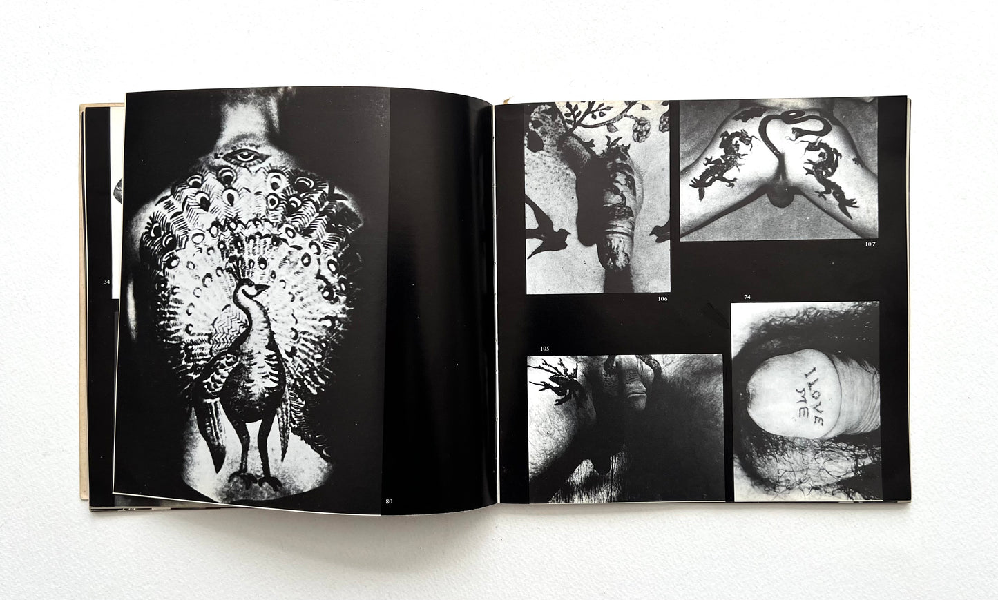 Open book displaying black and white photographs of tattoos on genitalia on a white background