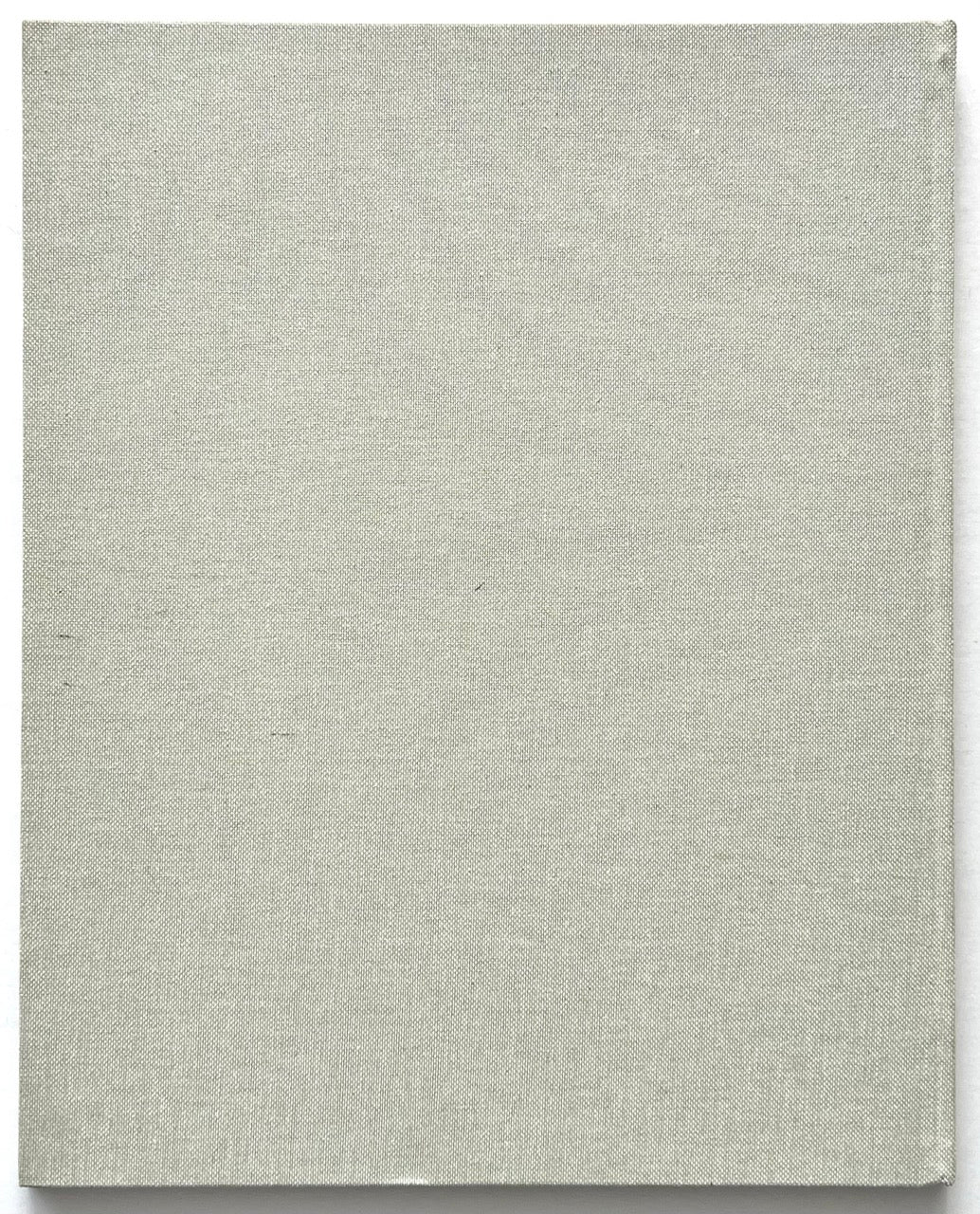 LOEWE Spring Summer 2015 Womenswear, creative direction by M/M (Paris), published 2015. Rear cloth cover showing minimalist textured binding and subtle surface marks.
