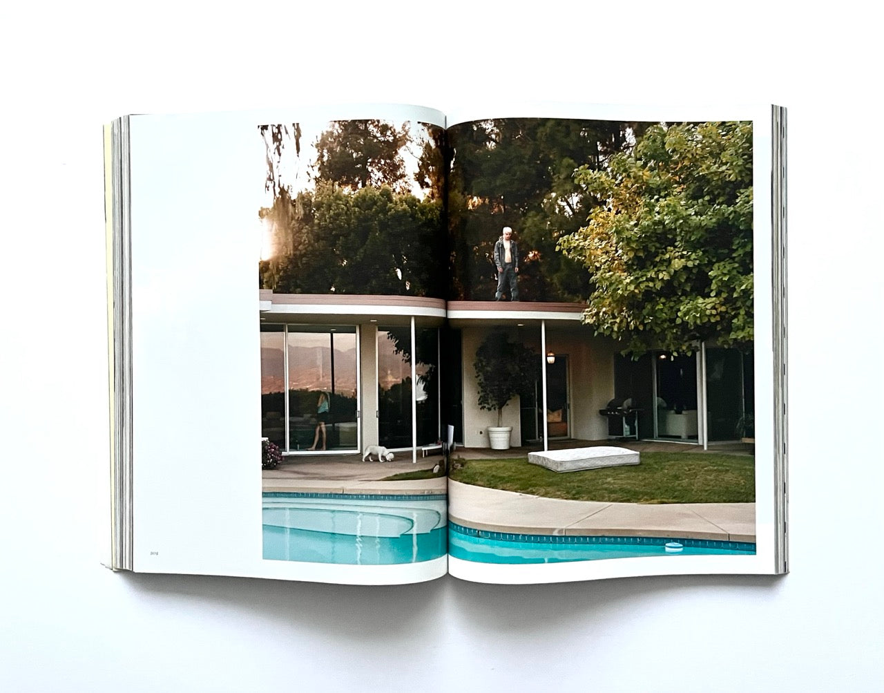 Open magazine - THE BEAUTIFUL HOME OF BUFFALO ZINE – ISSUE 6 (AW2017) - showing a photograph of a modern house with a pool and trees, with a person standing on the rooftop.