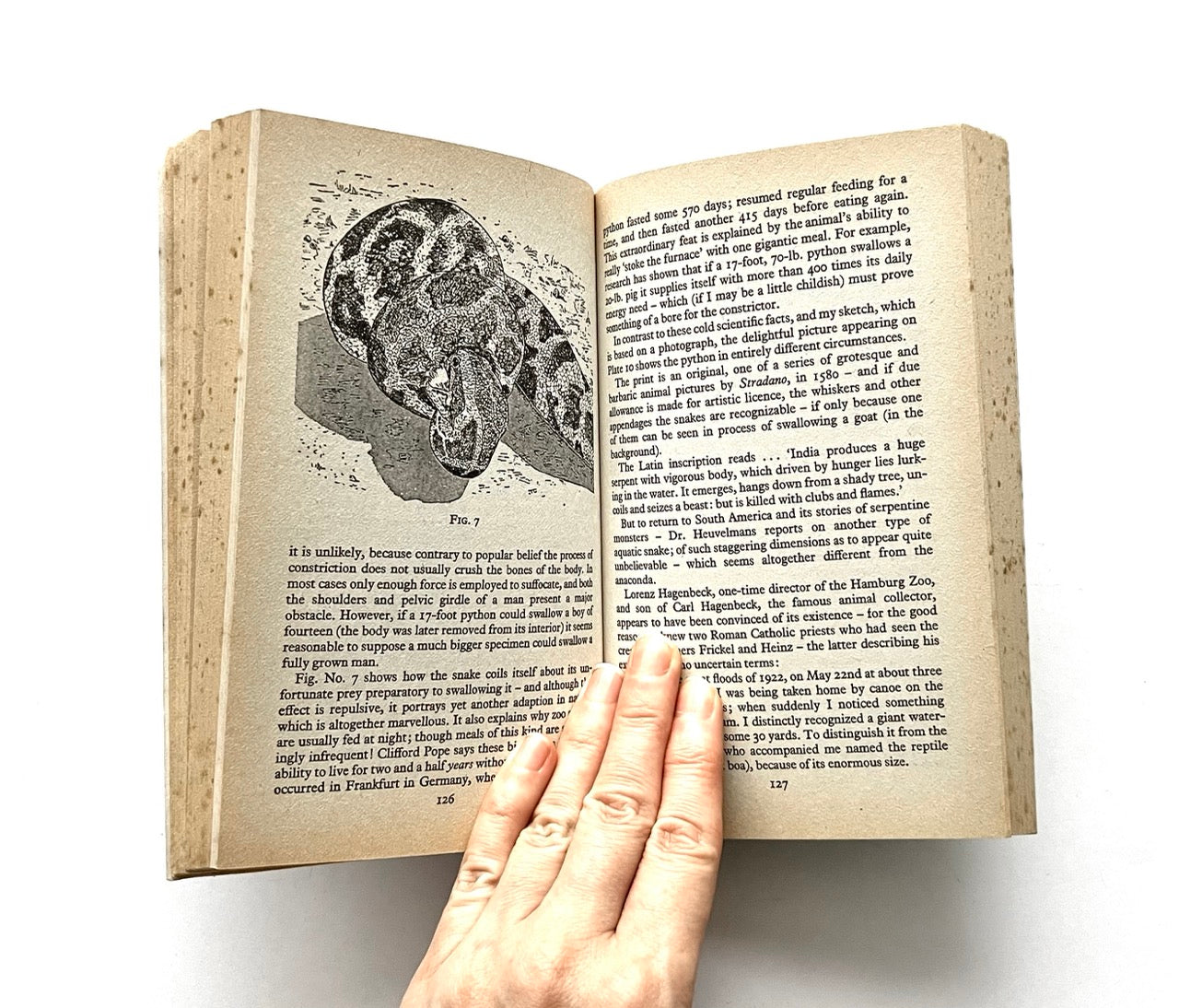 Open book, 'The Leviathans' by Tim Dinsdale, with a black and white illustration of a snake-like creature.