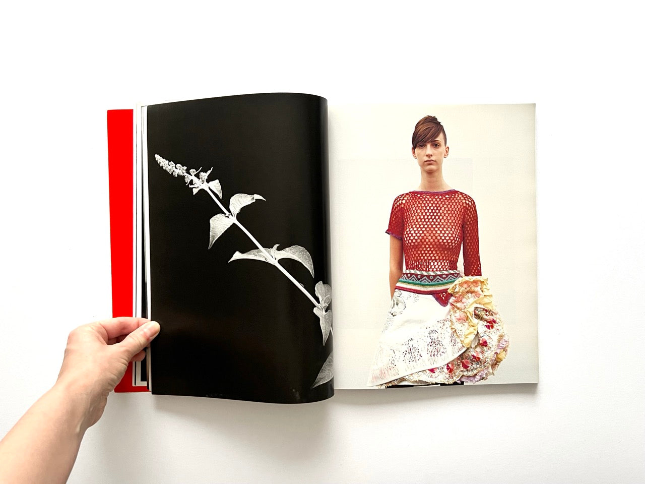 Interior spread of 10 Magazine Issue One with a black and white botanical image opposite a colour fashion portrait