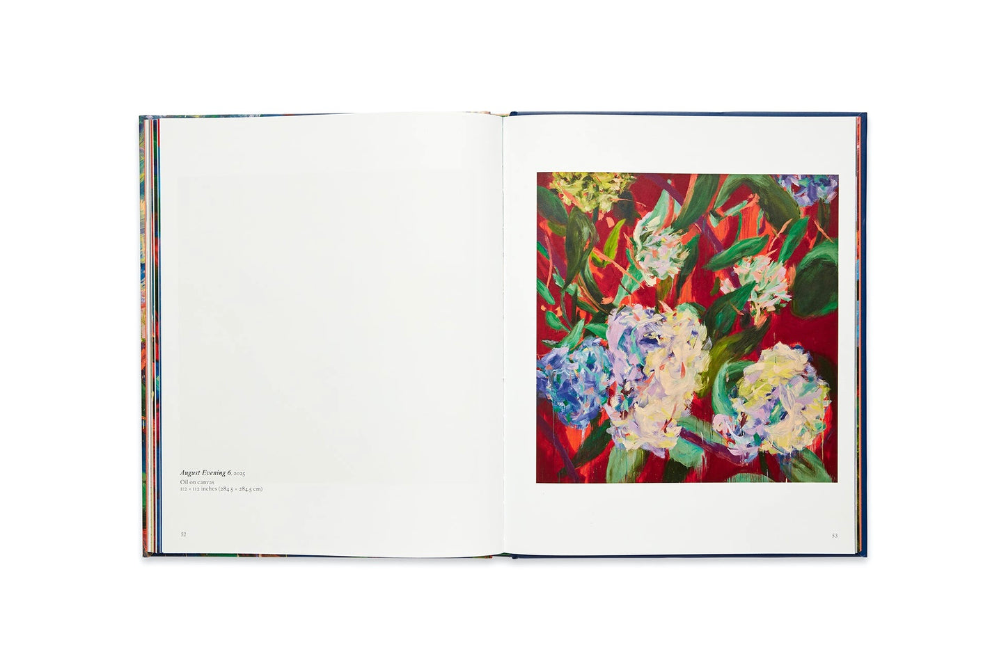 NICOLE WITTENBERG: ALL THE WAY [2025]