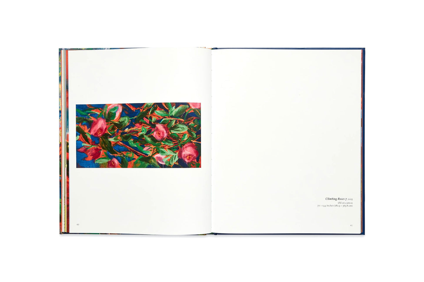 NICOLE WITTENBERG: ALL THE WAY [2025]