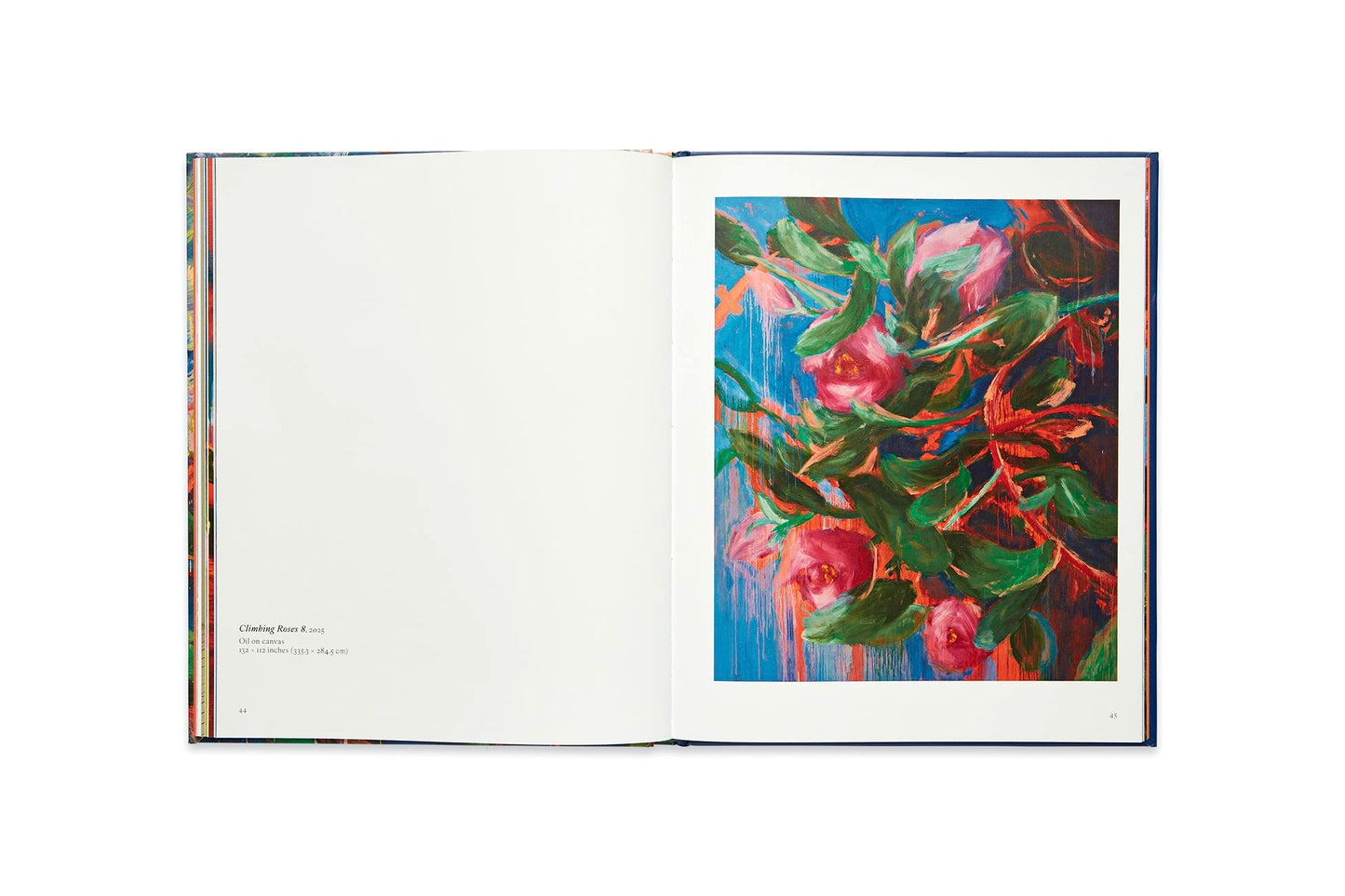 NICOLE WITTENBERG: ALL THE WAY [2025]