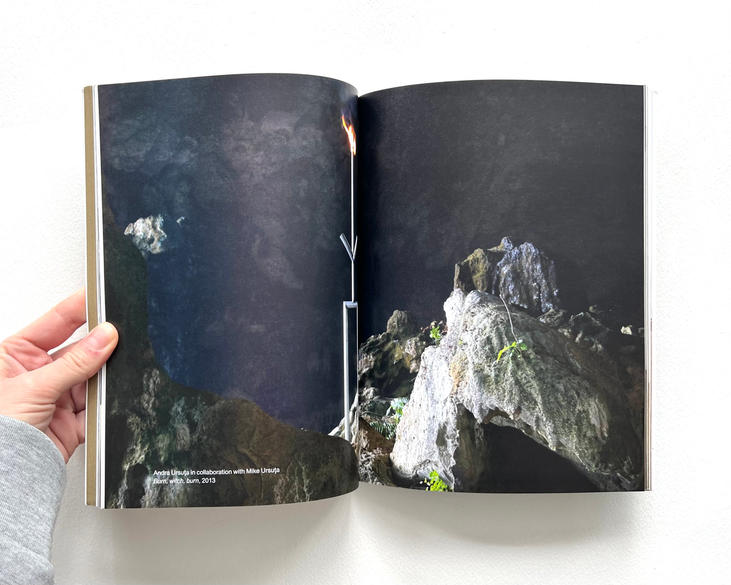 ANDRA URSUTA: ALPS [2016]