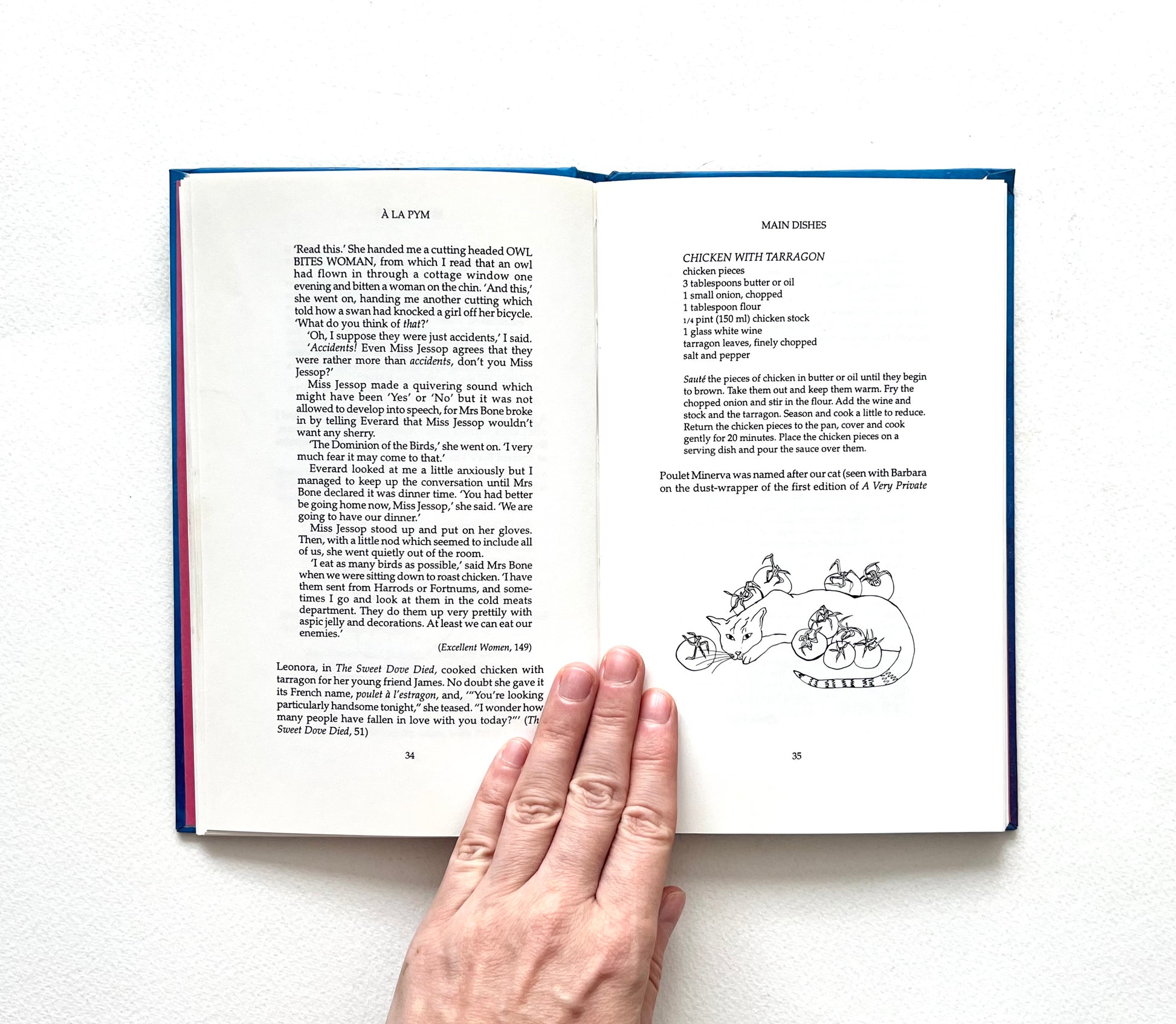 Open book with text and a small line drawing of a sleeping cat surrounded by tomatoes on a white background
