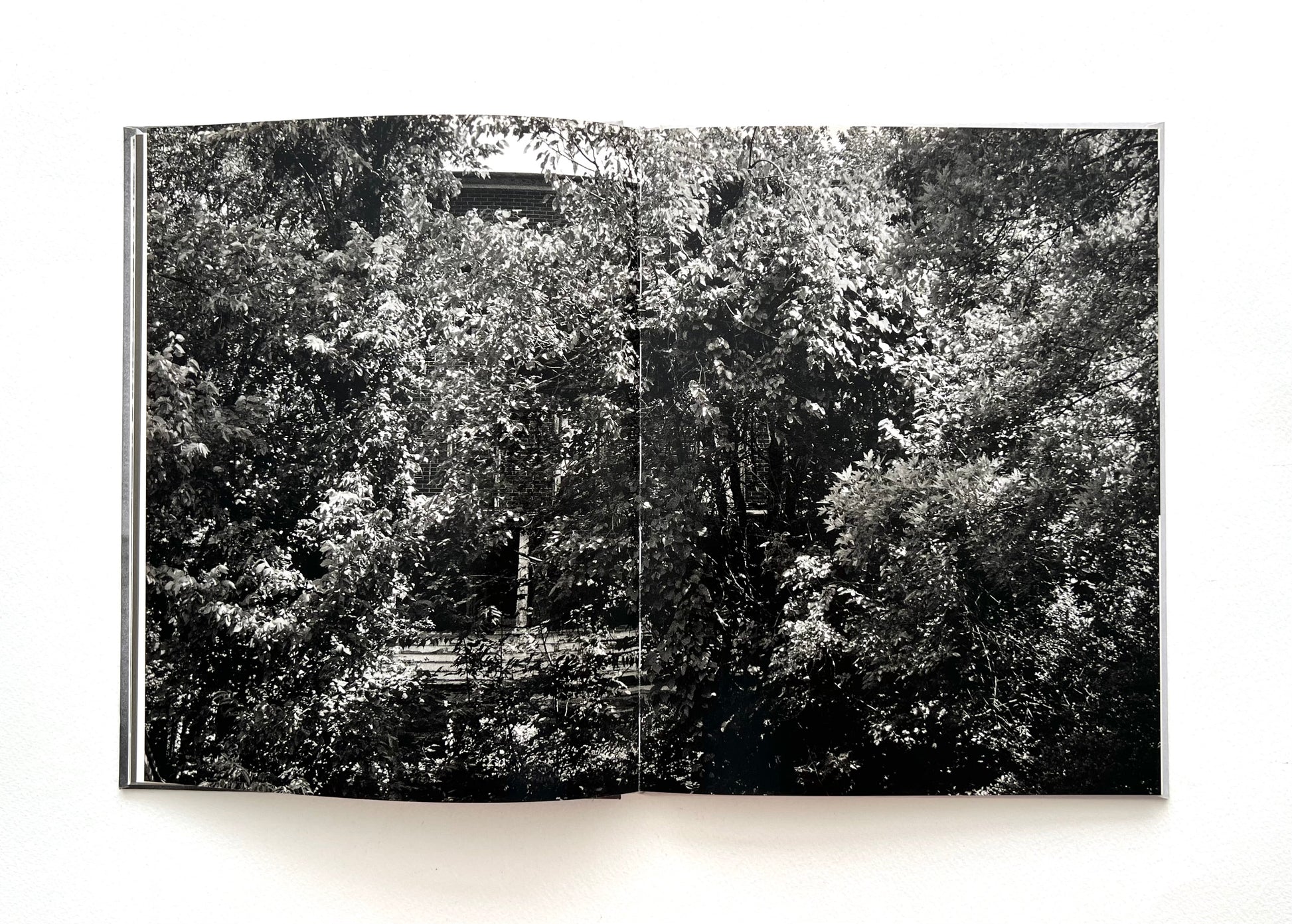 Open book showing a black and white photograph of a forest by DUANE MICHALS.