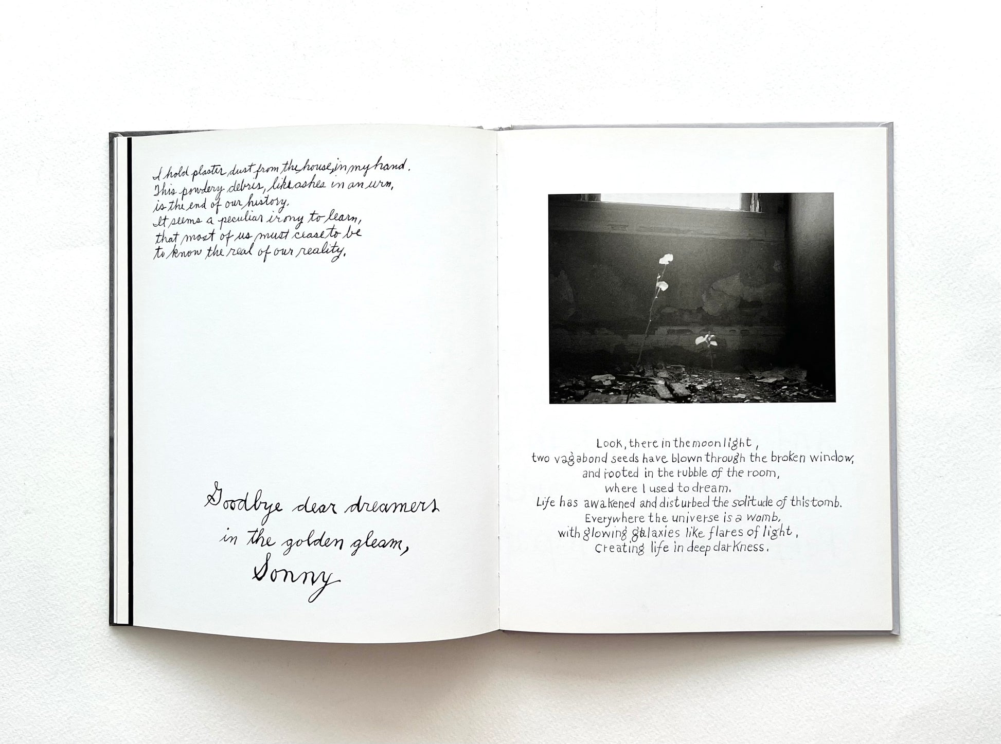 Open book with text and a black and white photograph of a wildflower growing in an abandoned house on a white background