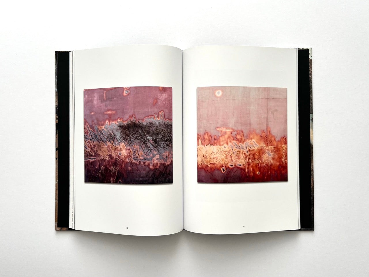 Interior spread from Dubious Splendor: Graphic Works by Rob Sanders 2023–2024 with warm-toned abstract compositions in red and ochre