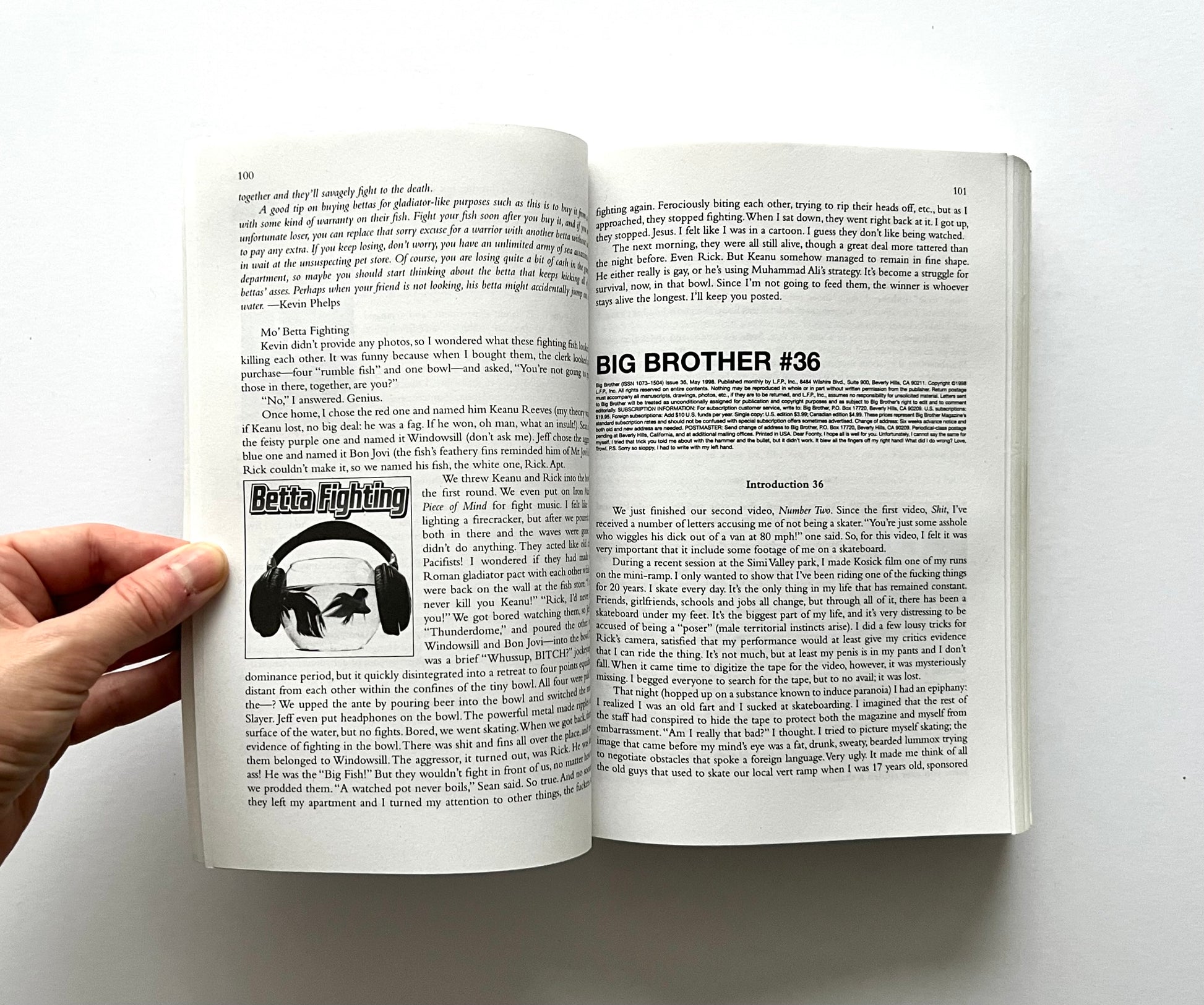 Open book showing interior pages from “boob” by Dave Carnie, featuring text, a small illustration of two fish wearing headphones, and the heading “Big Brother #36.”