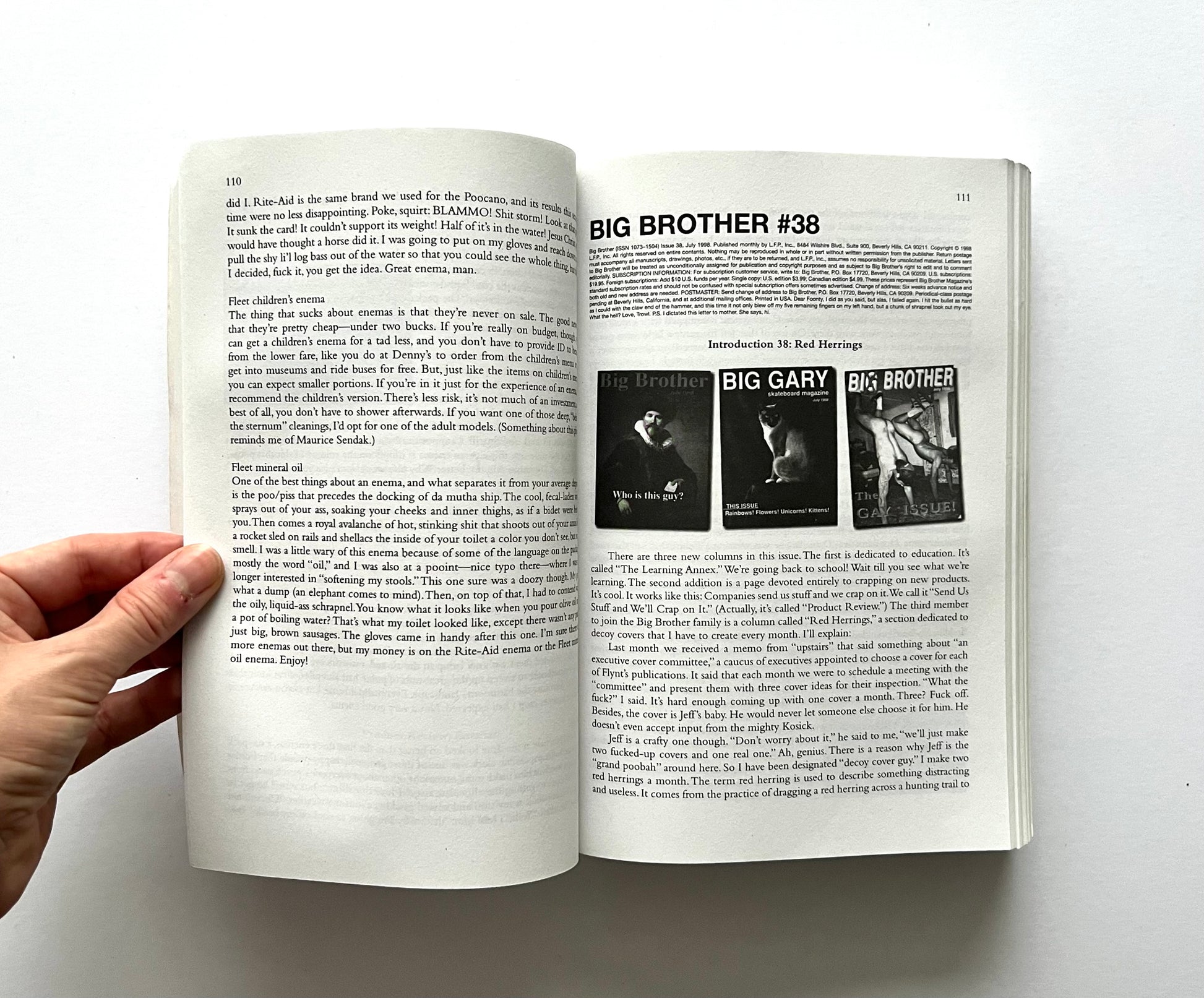 Open book showing interior pages from “boob” by Dave Carnie, including text on page 110 and the start of the “Big Brother #38” section on page 111 with three small cover images.