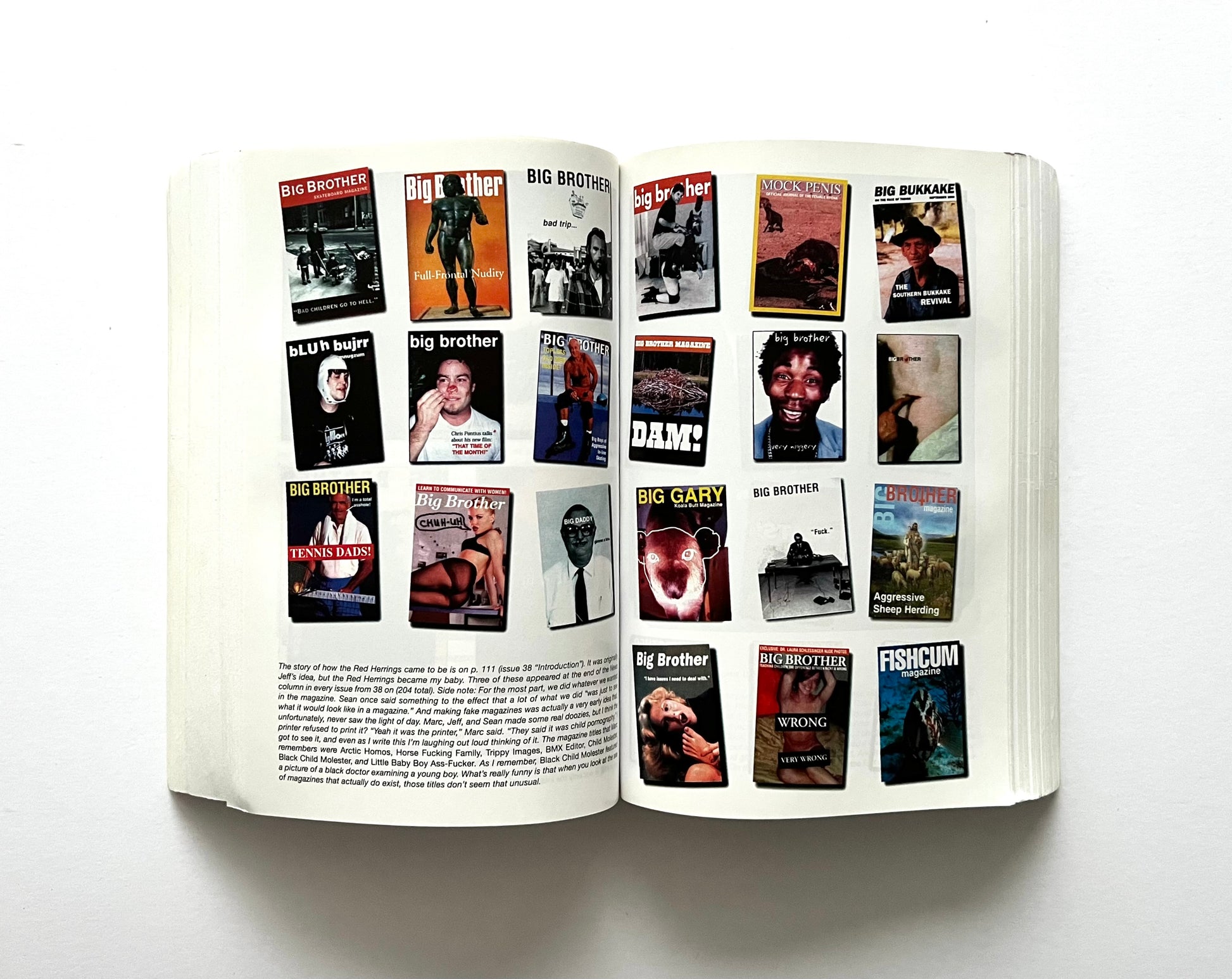 Open book showing interior pages from “boob” by Dave Carnie, featuring a two-page grid of various Big Brother magazine covers with a short caption beneath them.