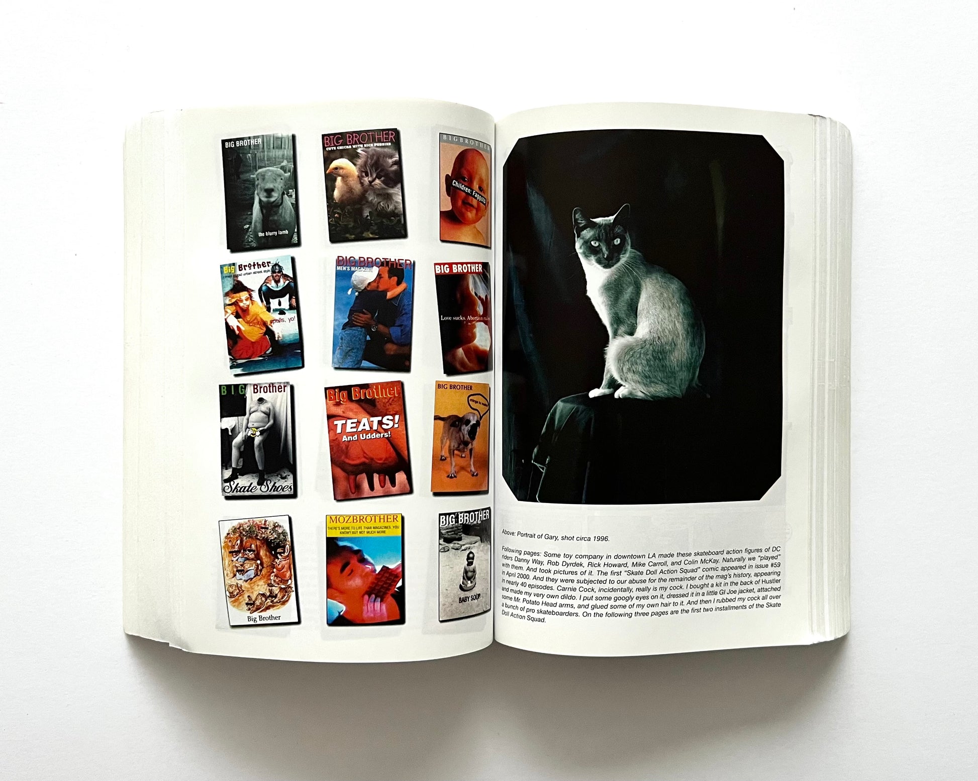 Open book showing interior pages from “boob” by Dave Carnie, with a grid of Big Brother magazine covers on the left page and a full-page photographic portrait of a cat on the right page.