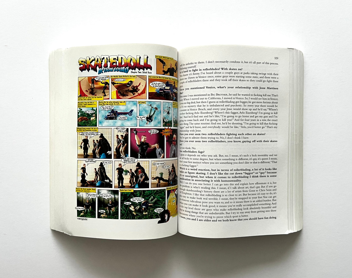 Open book showing interior pages from “boob” by Dave Carnie, with a full-page Skatedoll photo comic on the left and continued text on page 329 on the right.