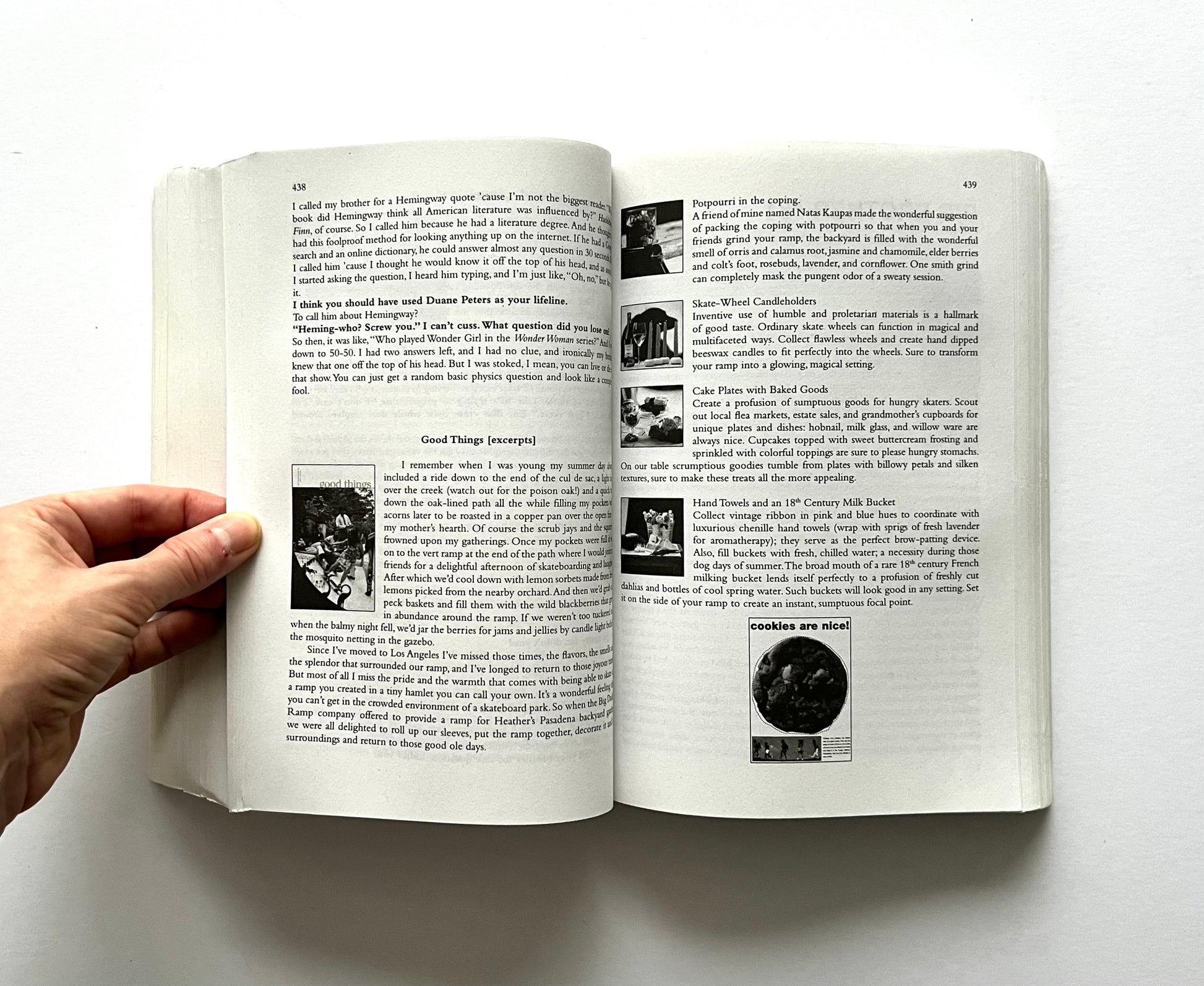 Open book showing interior pages from “boob” by Dave Carnie, with text on page 438 including a small inset photo for the section “Good Things (excerpts),” and page 439 featuring short humorous lists and a small “cookies are nice!” image.