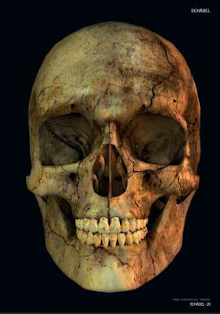 SKULLS & BONES: TEMPLATES FOR ARTISTS by Johann Barnas [2015]
