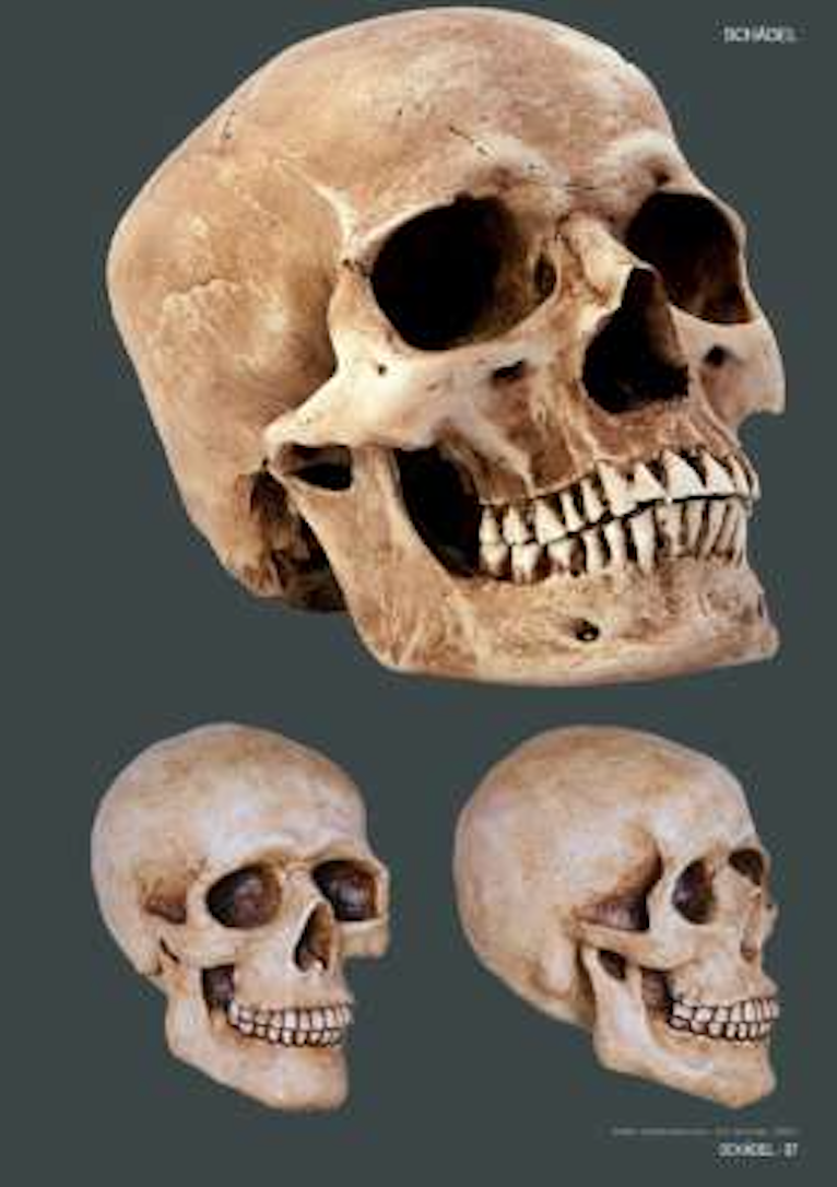 SKULLS & BONES: TEMPLATES FOR ARTISTS by Johann Barnas [2015]