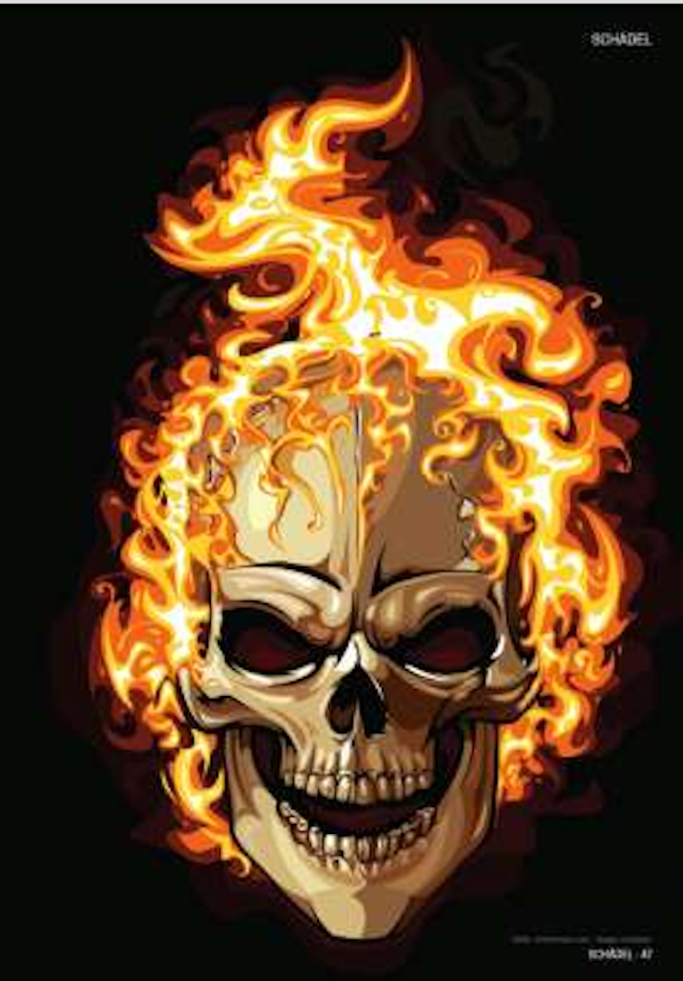 SKULLS & BONES: TEMPLATES FOR ARTISTS by Johann Barnas [2015]