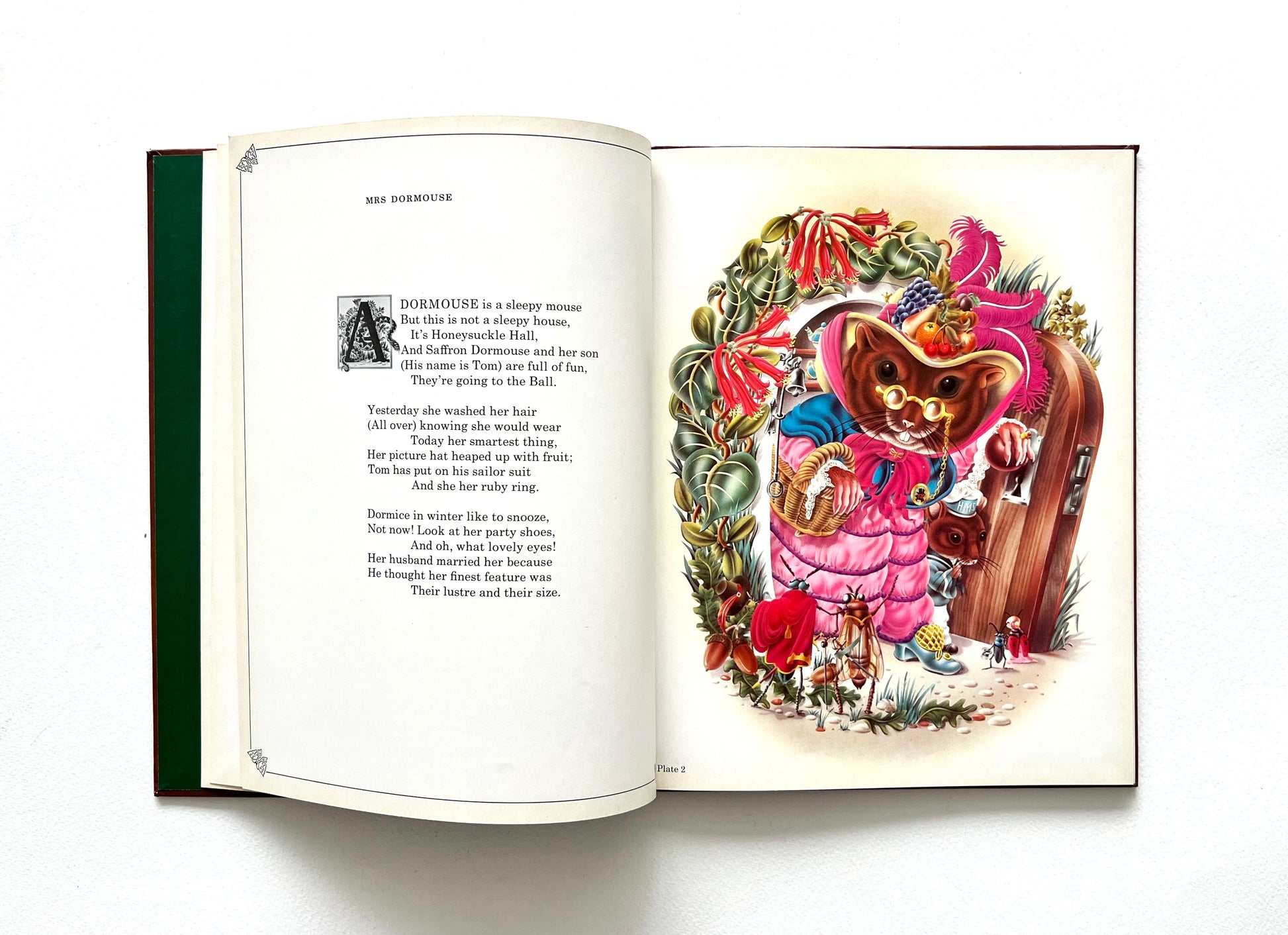 Open book with a colorful illustration by Alan Aldridge of a dormmouse in a pink outfit and hat, surrounded by flowers and text on a white background.