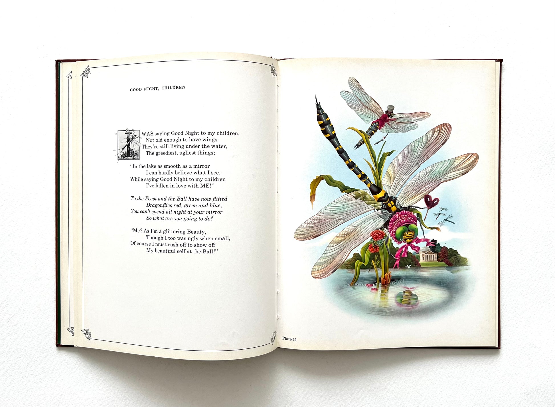 Open book with whimsical illustrations of insects by Alan Aldridge on a white background