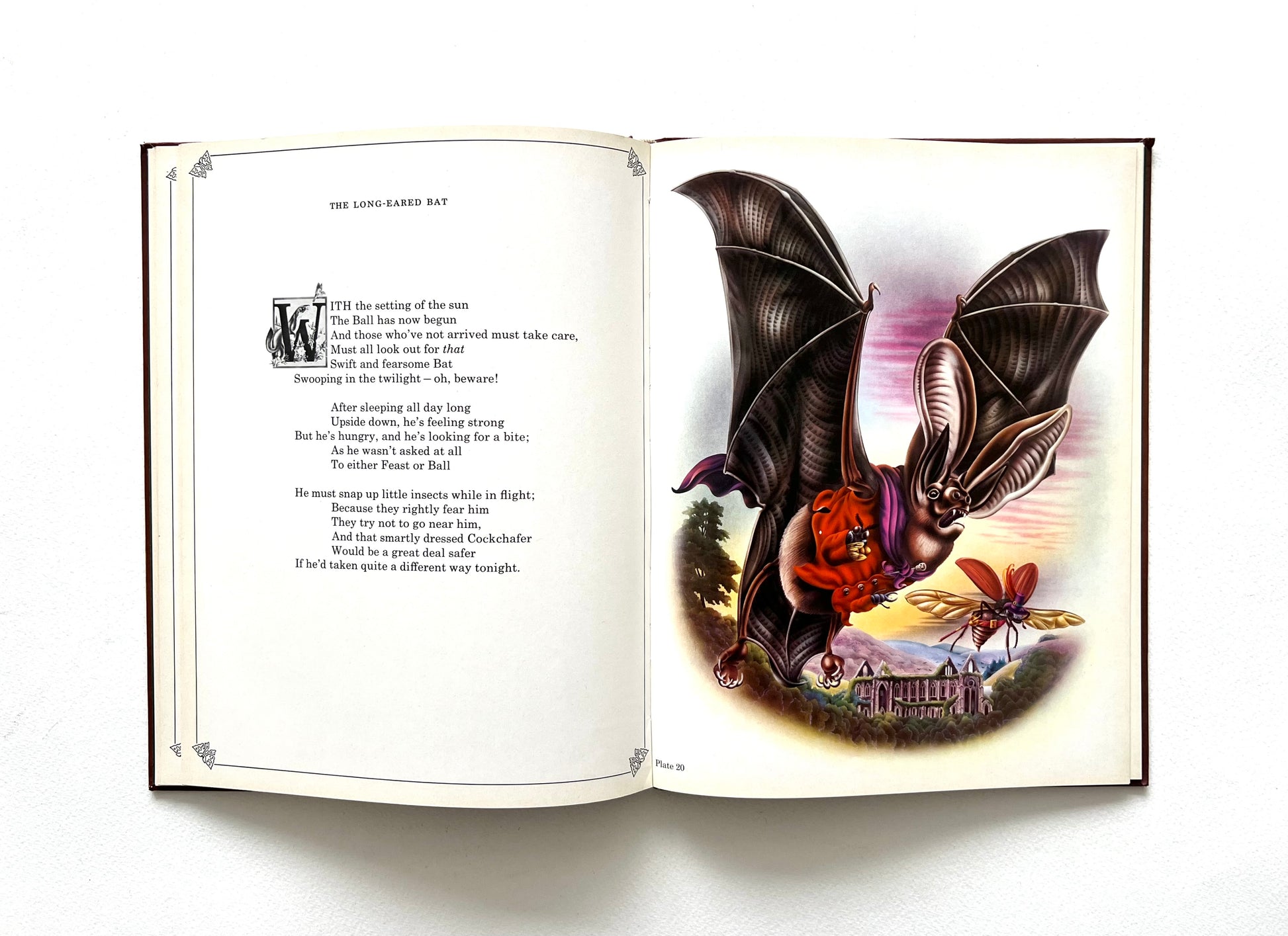 Open book with illustrations of bats by Alan Aldridge and text on a white background