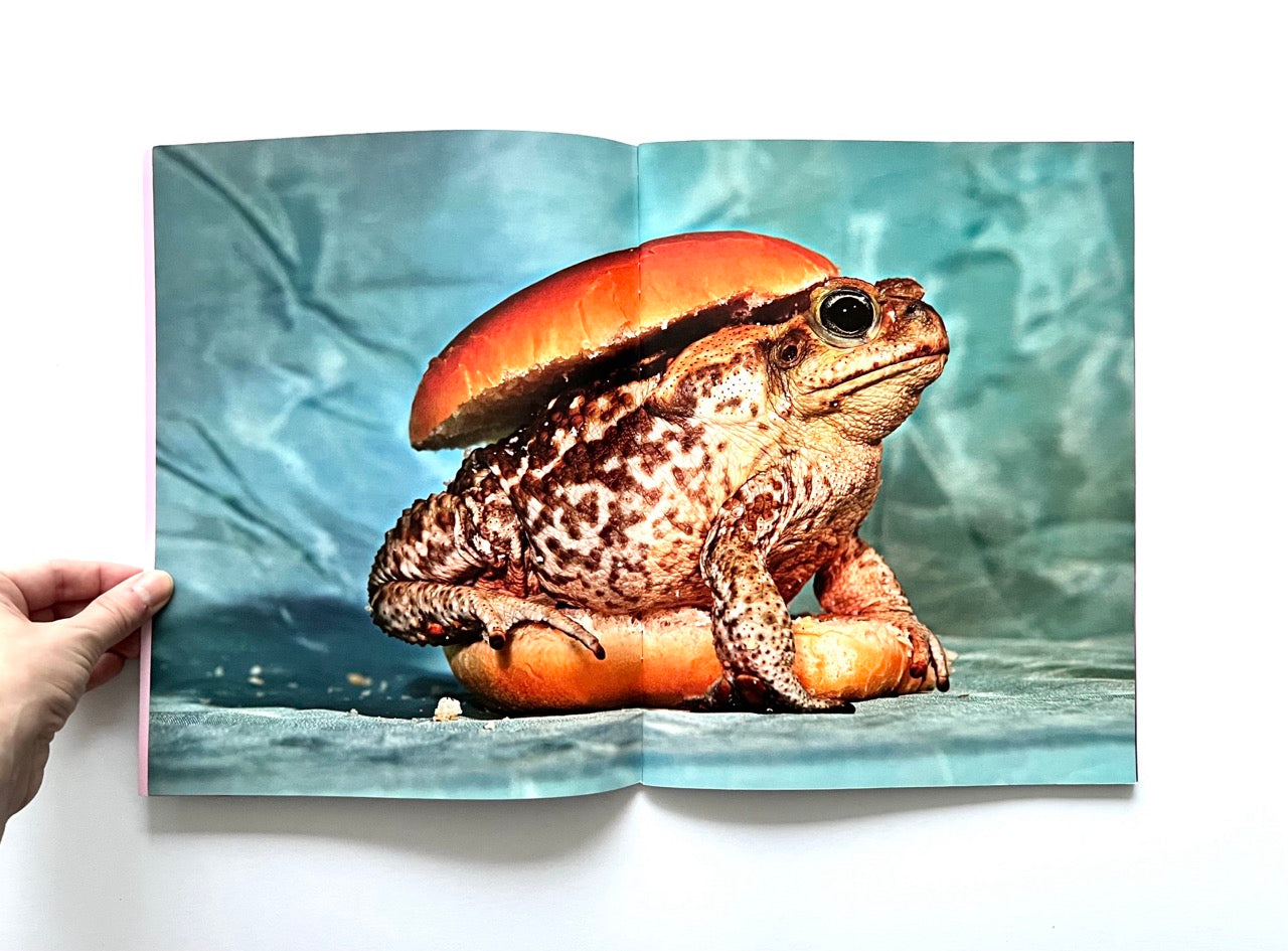Magazine spread (Toiletpaper No. 7, December 2012) showing a hamburger with a real frog in place of the patty.